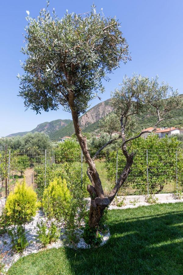 Two Olive Trees Appartement Psathopirgos