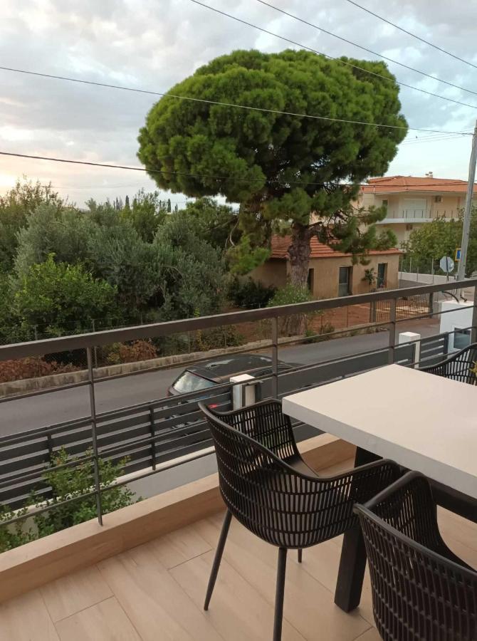 Two Olive Trees Apartment